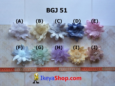BGJ 51  large2